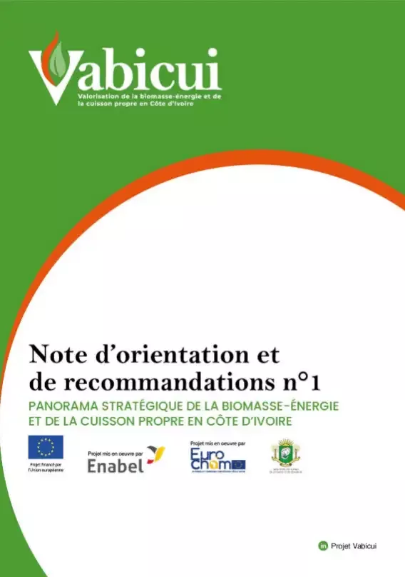 Vabicui — Couverture d'un document officiel intitulé 'Note d'orientation et de recommandations n°1' du projet Vabicui, dédiée au panorama stratégique