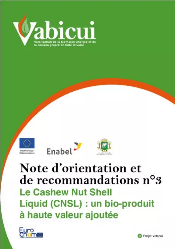 Vabicui — Couverture d'un document officiel intitulé 'Note d'orientation et de recommandations n°3' du projet Vabicui, dédié au bio-produit CNSL (Cash