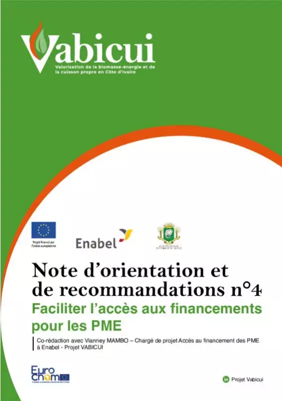 Vabicui — Affiche verte et orange du projet Vabicui présentant la note d'orientation et de recommandations numéro 4, intitulée 'Faciliter l'accès aux