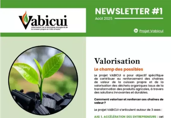 Vabicui — Capture d’écran d’une newsletter intitulée 'Newsletter #1 - Août 2025' du projet Vabicui. Elle présente un logo avec une feuille verte, un t