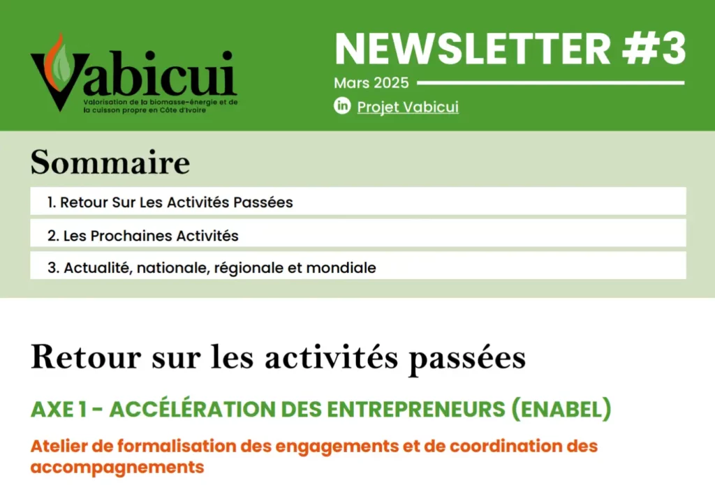 Vabicui — Capture d’écran du sommaire de la newsletter numéro 3 du projet Vabicui, datée mars 2025, incluant les sections 'Retour sur les activités pa