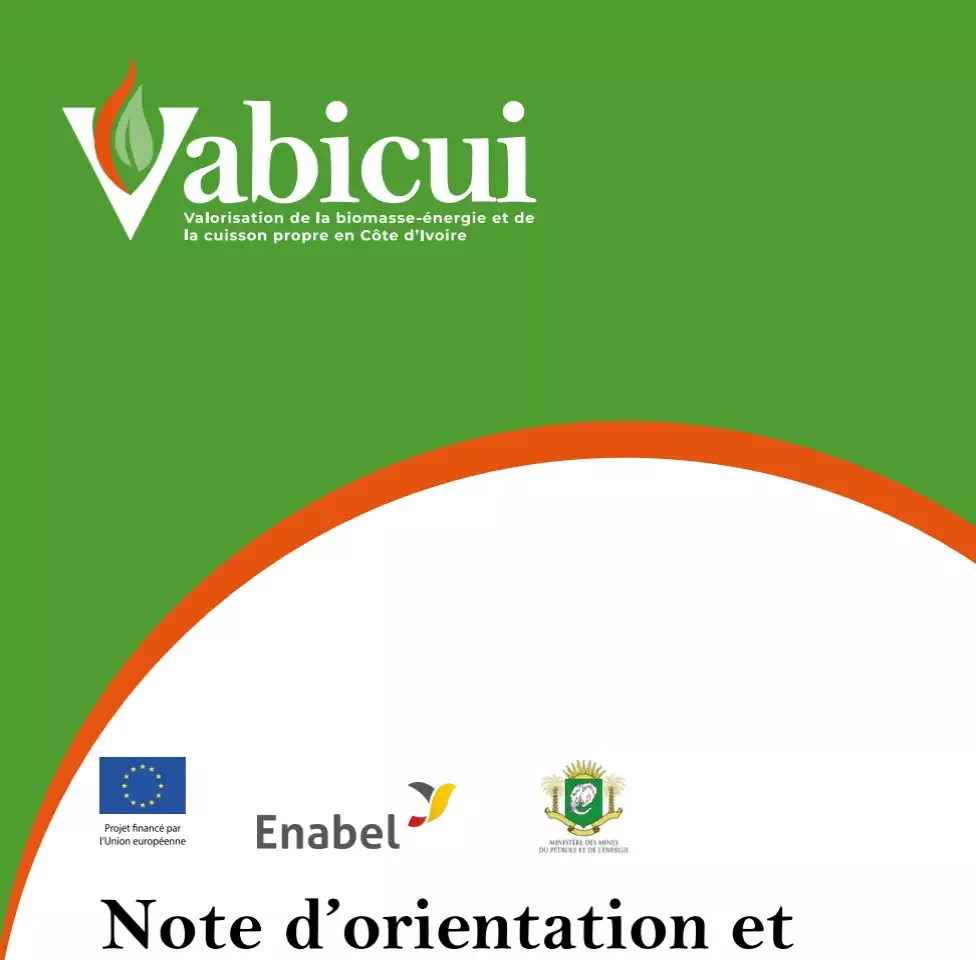 Vabicui — Logo Vabicui sur fond vert avec une flamme stylisée, accompagné du slogan 'Valorisation de la biomasse-énergie et de la cuisson propre en Cô